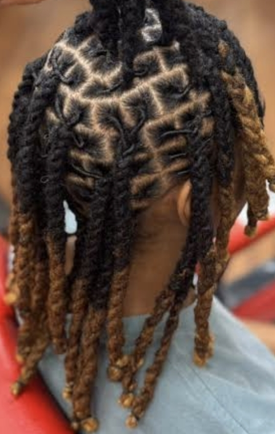 Locs Braids